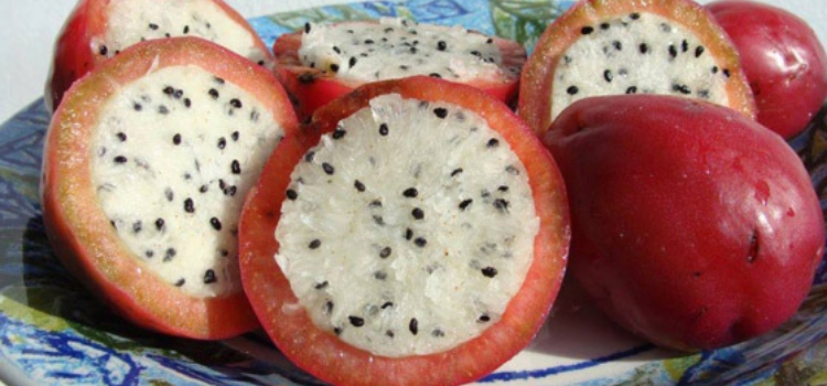 frutas exóticas tipo mandacaru