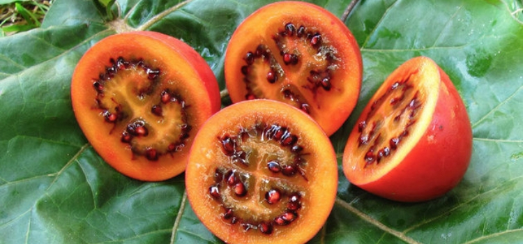 frutas exóticas tipo tamarilho