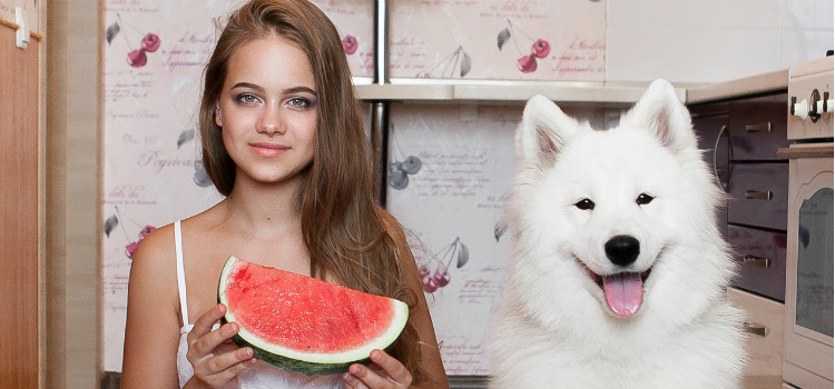 frutas que cachorro pode comer melancia