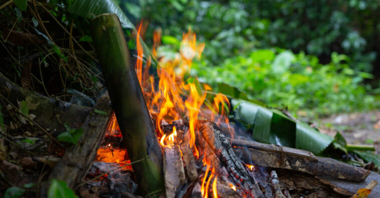 fumaça de queimadas