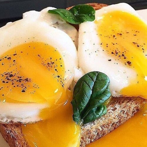 gema mole frita com pão