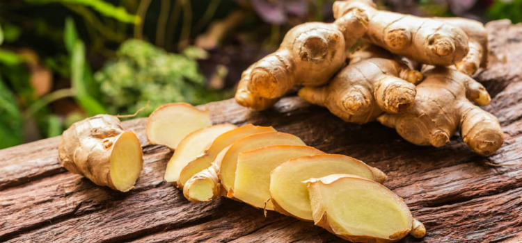 alimentos que diminuem o estrogênio