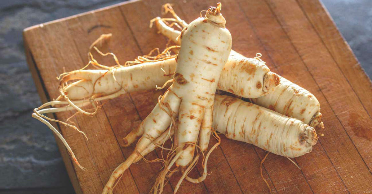 ginseng