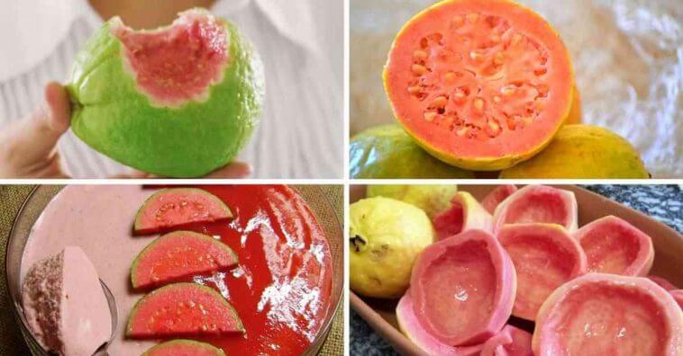 Goiaba: benefícios para a saúde