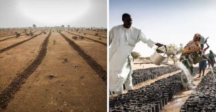 grande muralha verde na africa