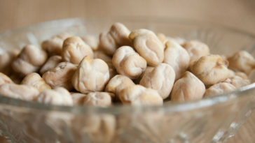 grão de bico engorda