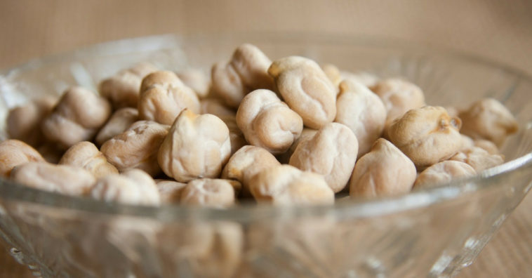 grão de bico engorda