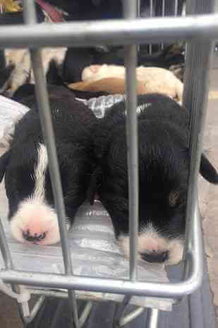 grid-cell-13594-1443639408-5