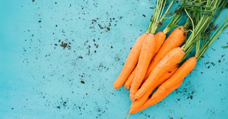 hidratação com cenoura