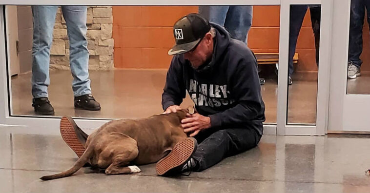 homem reencontra cachorro depois de 200 dias perdido
