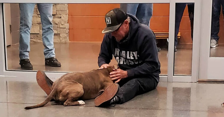 homem reencontra cachorro depois de 200 dias perdido