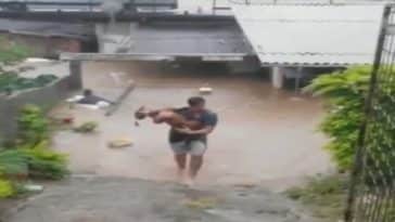 cachorro salva em enchente