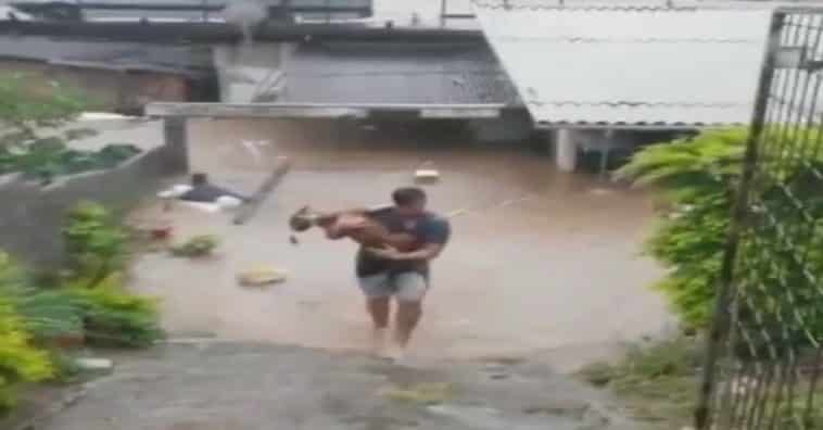 cachorro salva em enchente