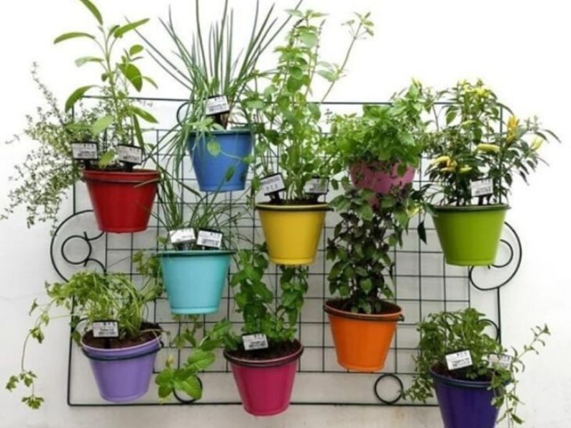 modelo horta em apartamento grade com vasos