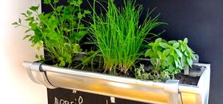 modelo horta em calhas