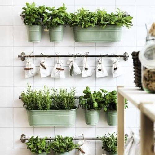 horta vertical na cozinha decoração de apartamento alugado