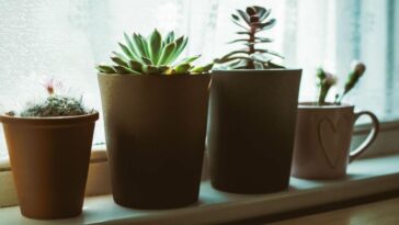 artesanato com isopor