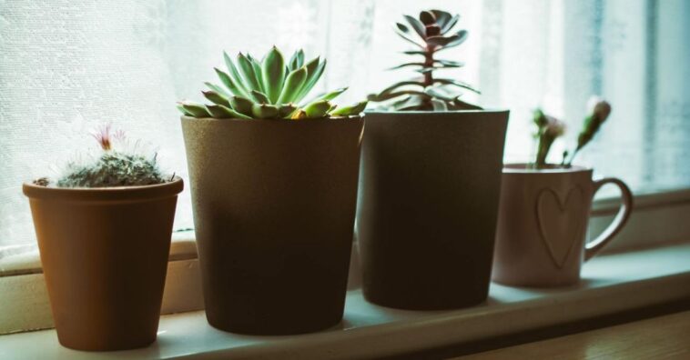 artesanato com isopor