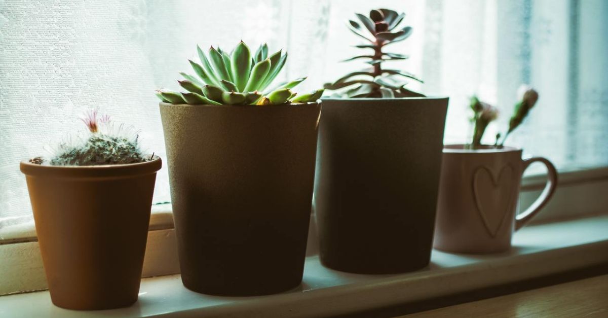 artesanato com isopor