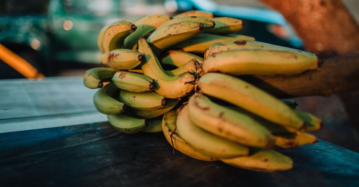 receitas com banana-da-terra