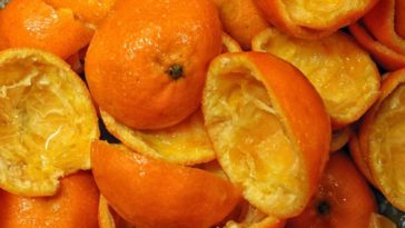 receitas com cascas de frutas