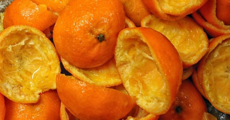 receitas com cascas de frutas