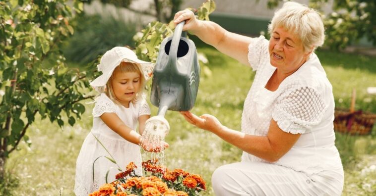 importância das avós