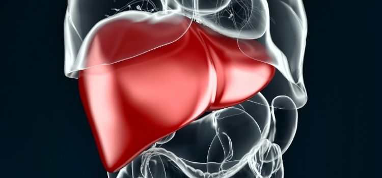 a importancia de desintoxicar o fígado