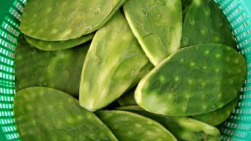 Ingrediente do México para diabetes