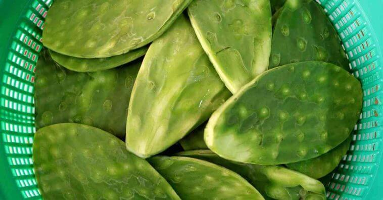 Ingrediente do México para diabetes