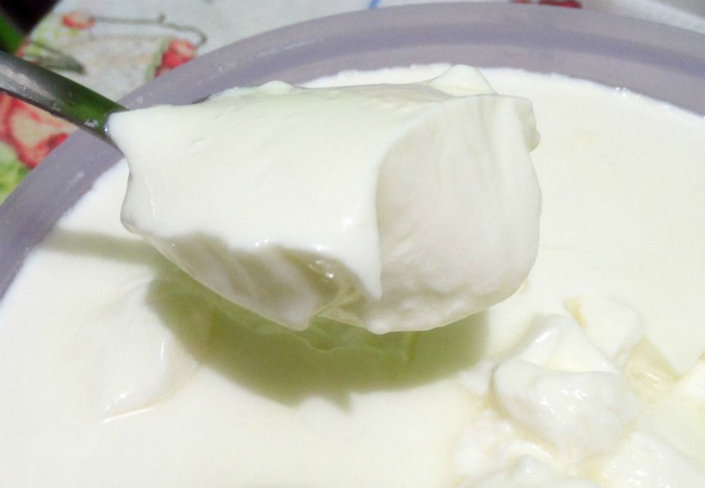 iogurte caseiro com leite em pó