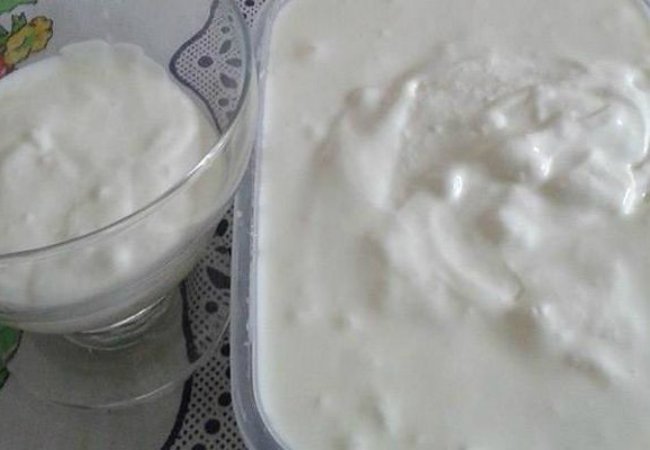 iogurte caseiro grego