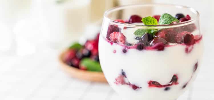 iogurte dieta dash