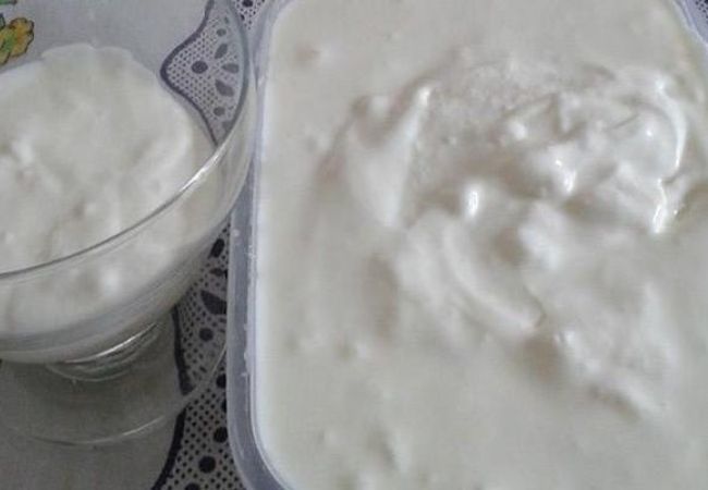 iogurte grego caseiro de baunilha