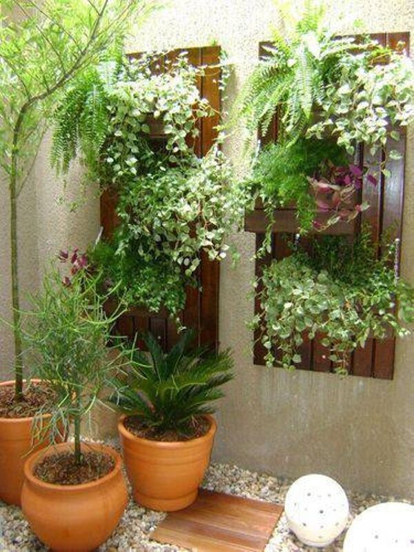 jardim de inverno na sala parede cortiça e vaso