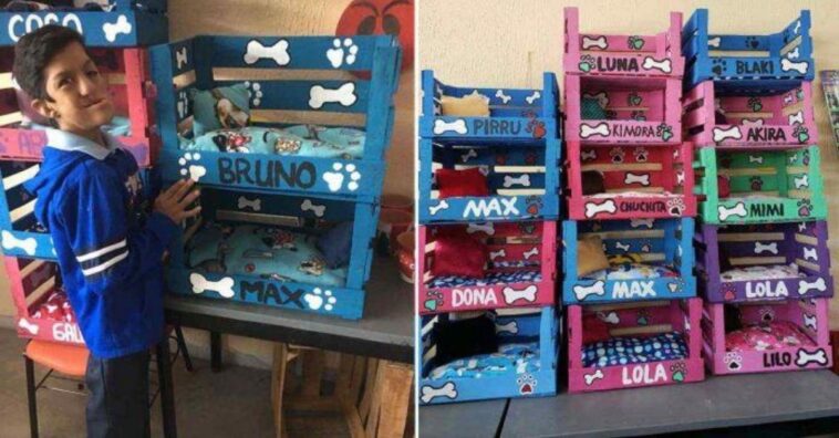 jovem deficiente faz caminhas para pets