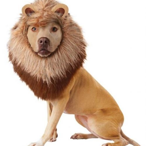 modelo juba de leão