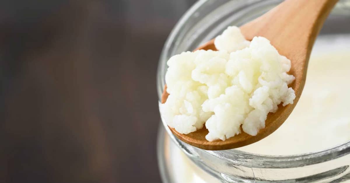 Kefir de água de coco é mais poderoso que kombucha? Aprenda a fazer