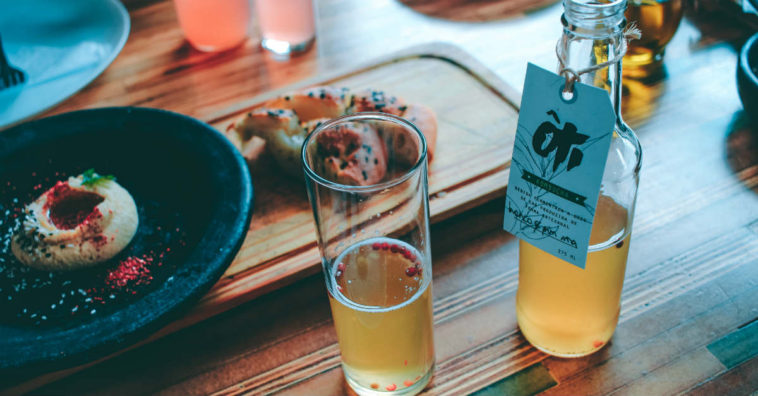 kombucha benefícios