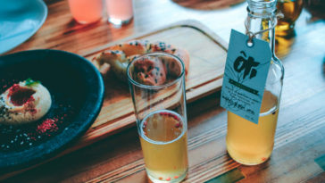 kombucha benefícios