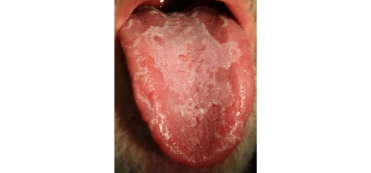 como é a língua geográfica