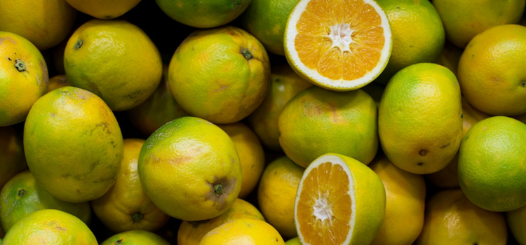 consumir laranja safra de julho