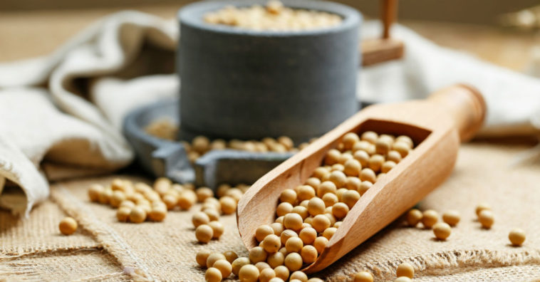 lecitina de soja o que é e para que serve