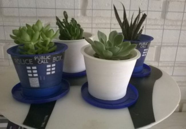 lembrancinhas com copo de requeijão e plantas