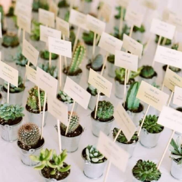 ideias de lembrancinhas de casamento suculentas