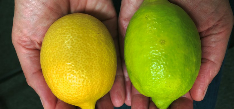 limão congelado