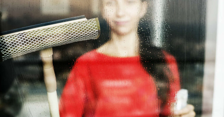 limpa vidros caseiro