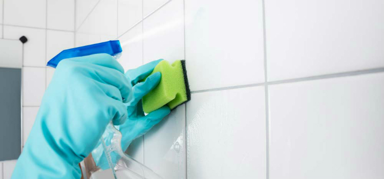 limpar azulejo banheiro