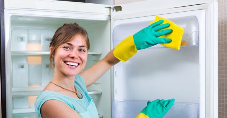 limpar borracha da geladeira