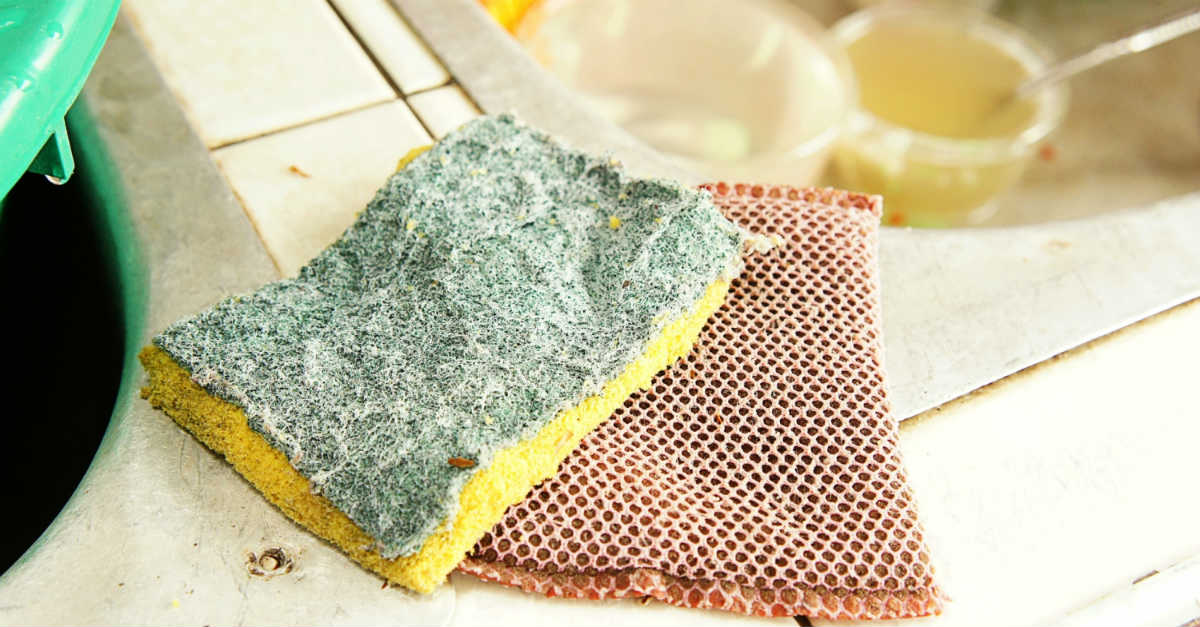 limpar esponja de cozinha